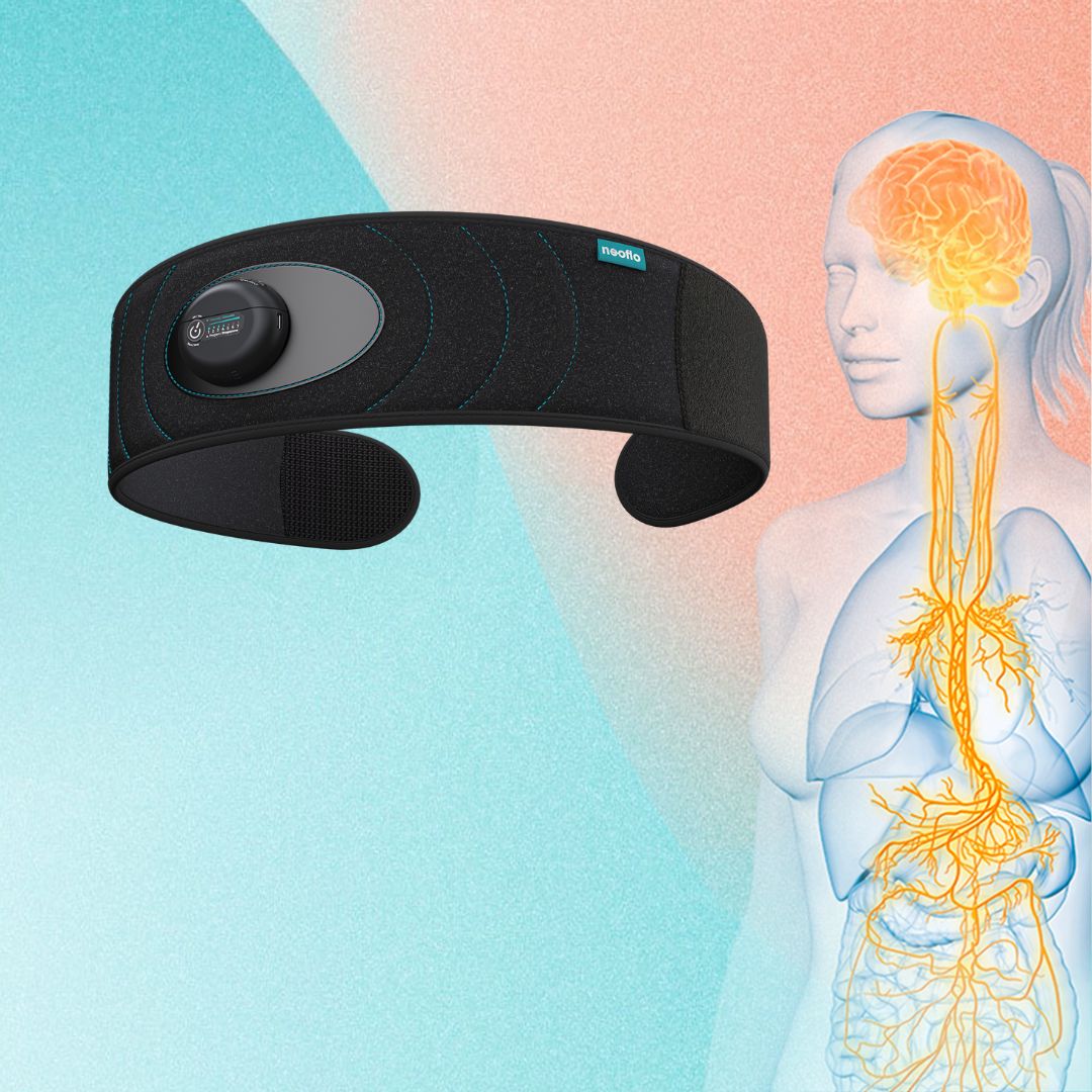 une illustration du nerf vague et de la ceinture de respiration neoflo le meilleur outil de respiration et de cohérence cardiaque pour activer son nerf vague naturellement