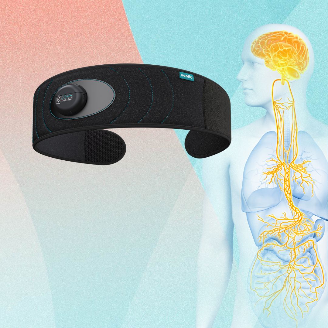 une illustration du nerf vague et de la ceinture de respiration neoflo le meilleur outil de respiration et de cohérence cardiaque pour baisser son cortisol naturellement