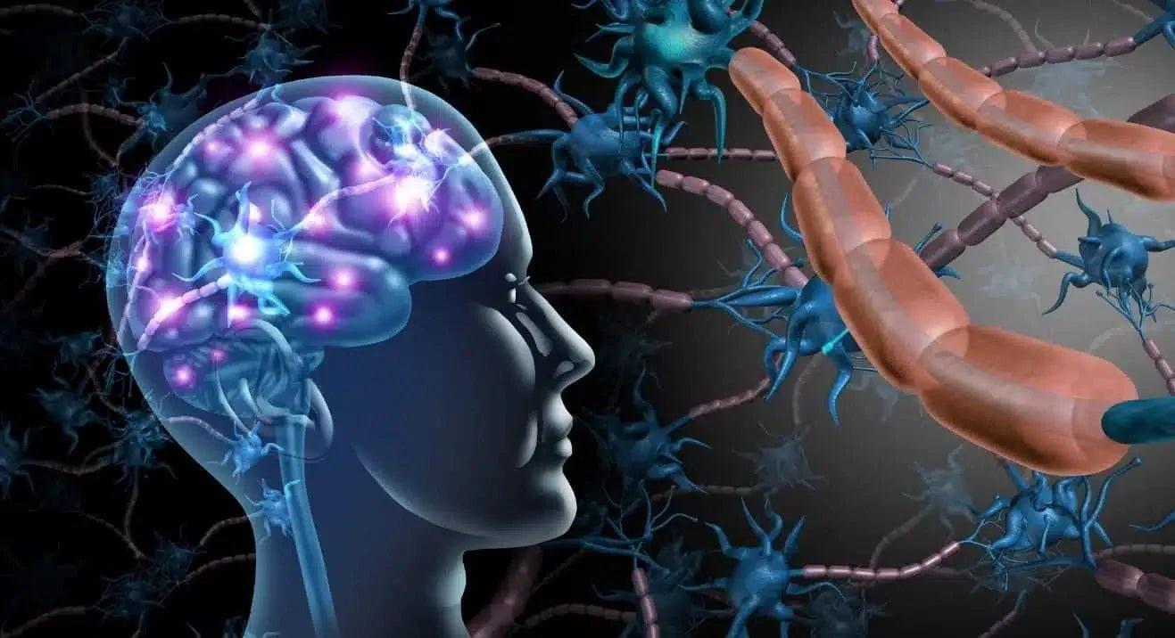 Vagus nerve and stress: practice coherent breathing